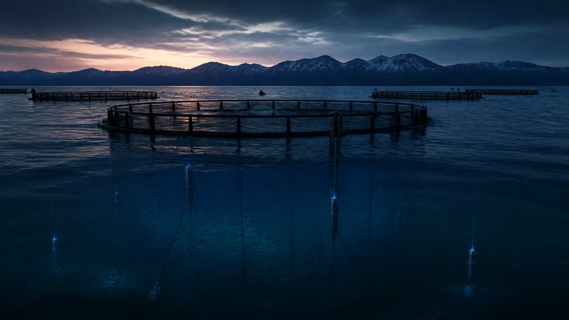 A distributed underwater sensor network below an aquaculture farm